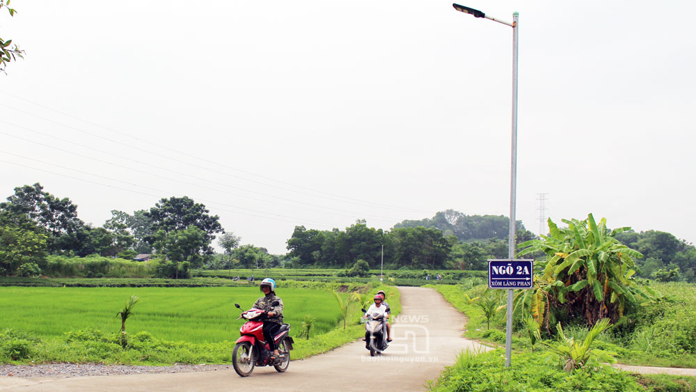 Toàn xóm Làng Phan có 2.000m đường điện chiếu sáng sử dụng năng lượng mặt trời.