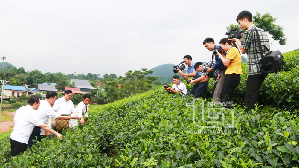 Các nhà báo chụp ảnh thực tế tại xã Sơn Phú.