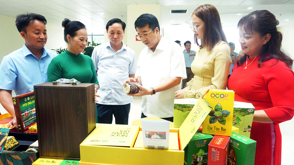 省人委会副省长阮清平和代表们参观陈列农产品的展位