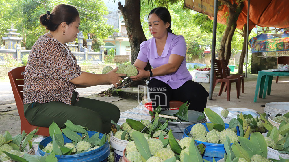 Thời điểm hiện tại, giá na bán buôn tại huyện Võ Nhai đang được các thương lái thu mua với giá từ 40-45 nghìn đồng/kg quả tùy chất lượng.