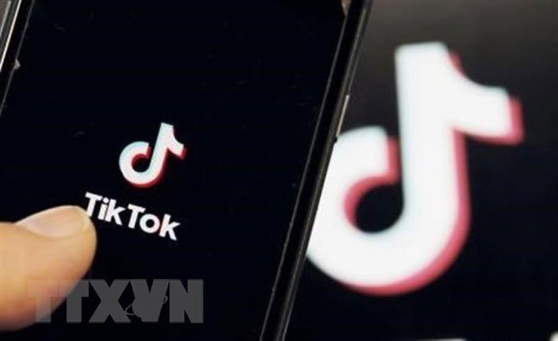 Biểu tượng TikTok trên màn hình điện thoại. (Ảnh: Kyodo/TTXVN)