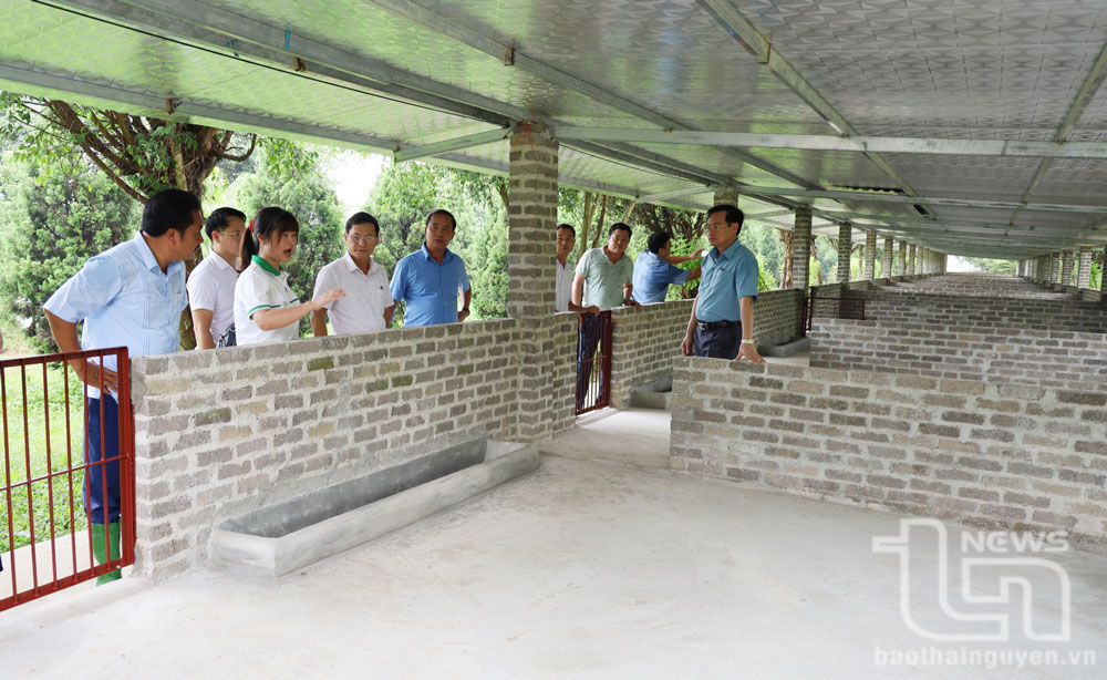 The delegation visited the pig farm in the process of being completed by Dung Tan Co., Ltd. in Dac Son ward (Pho Yen city).