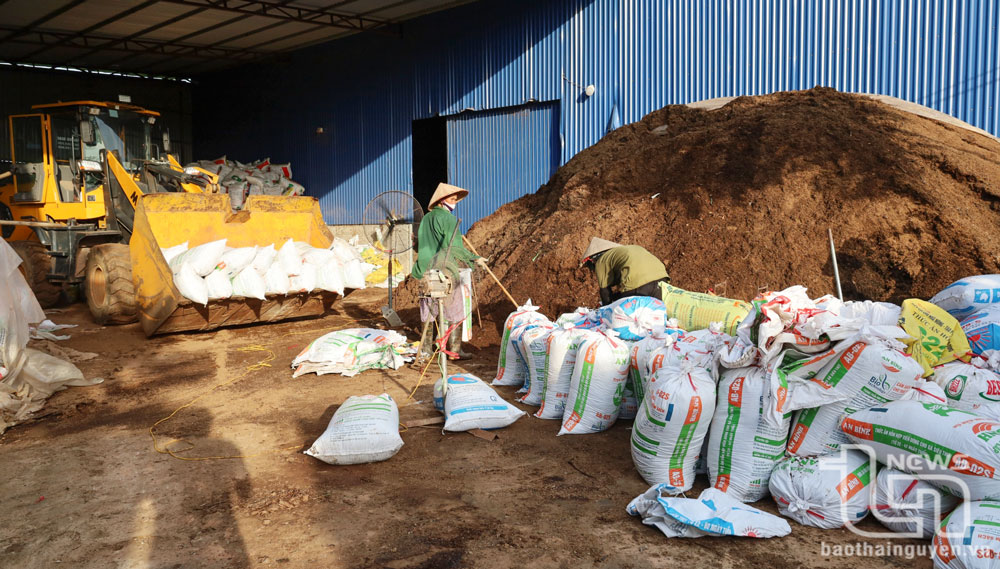 Ô nhiễm từ kho tập kết phân gà giữa khu dân cư