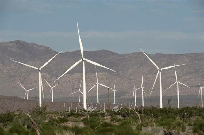 Các tuốc bin sản sinh điện gió hoạt động tại California, Mỹ ngày 29/5/2020. Ảnh: Reuters/TTXVN