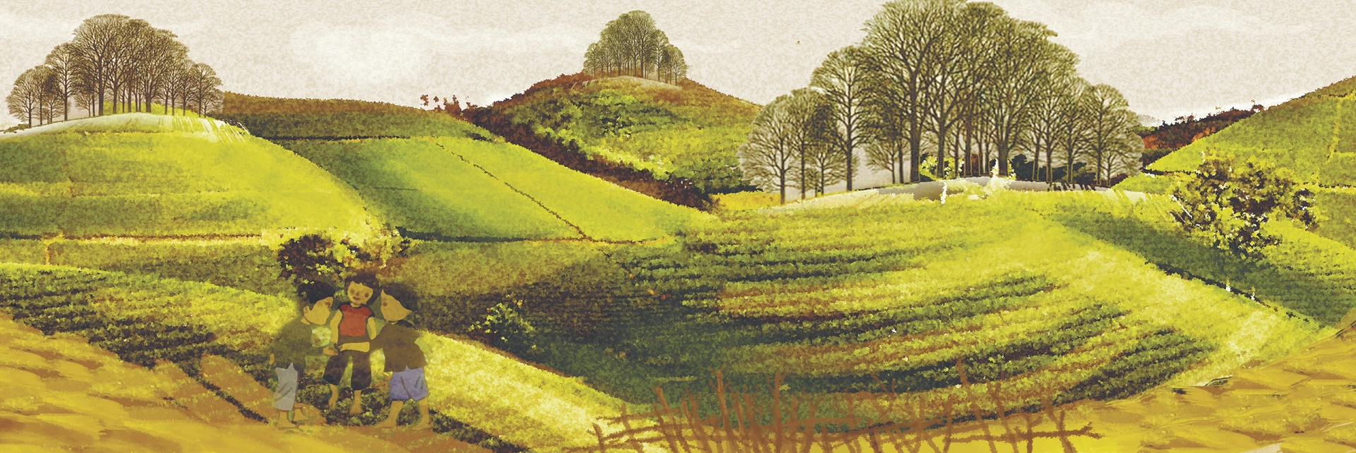 Minh họa: Đào Tuấn