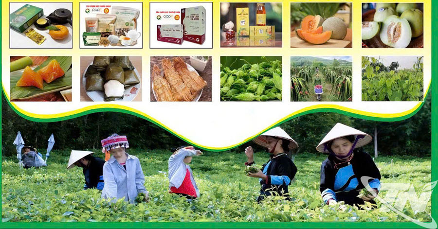 Đến nay, xã Chợ Mới đã hình thành được nhiều sản phẩm đặc sản có mặt tại nhiều thị trường trong và ngoài tỉnh.