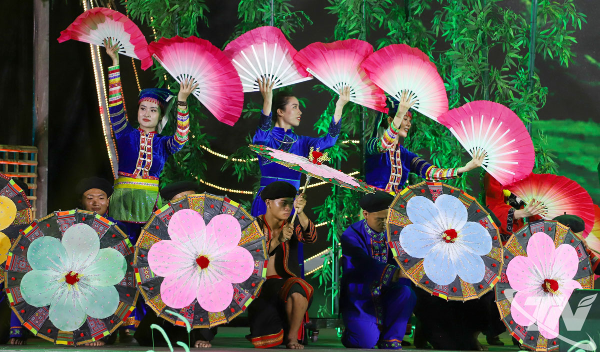 Các tiết mục ca múa nhạc tại Chương trình.