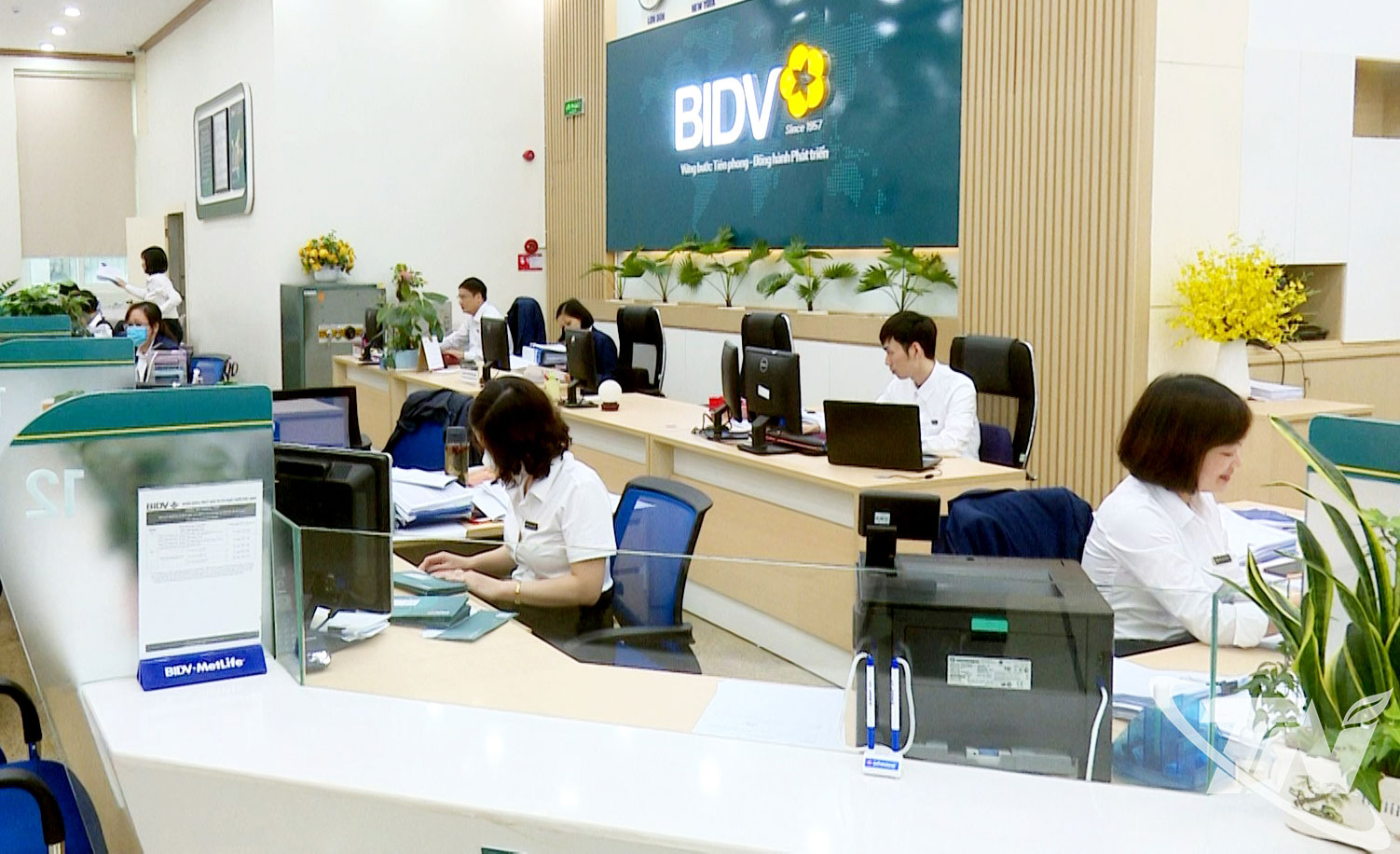 6 tháng đầu năm 2025, dư nợ tín dụng trên địa bàn tỉnh đạt khoảng 148.000 tỷ đồng, tăng 24,4% so với cùng kỳ năm trước.