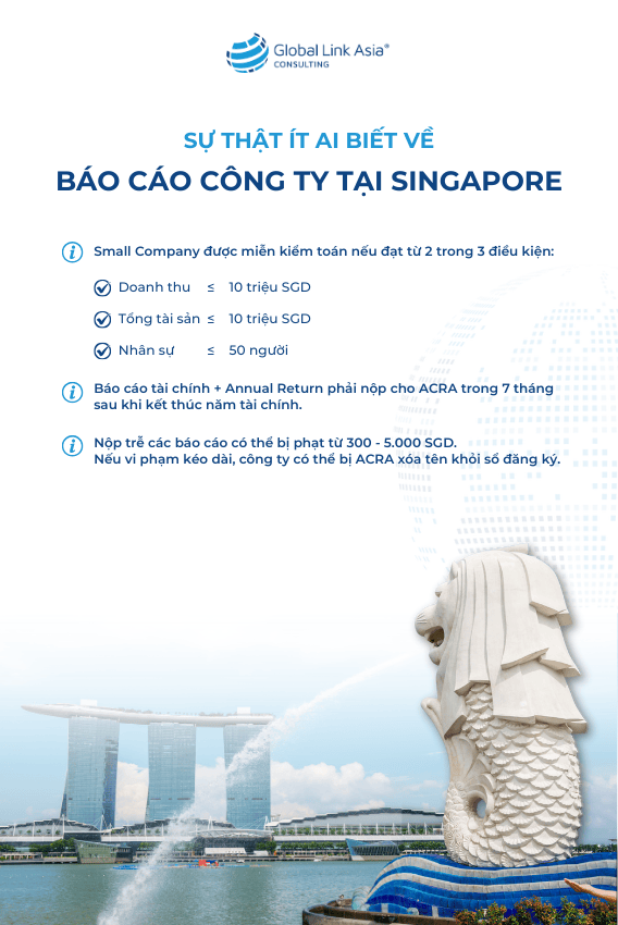 Những điều công ty Singapore cần biết khi nộp báo cáo doanh nghiệp