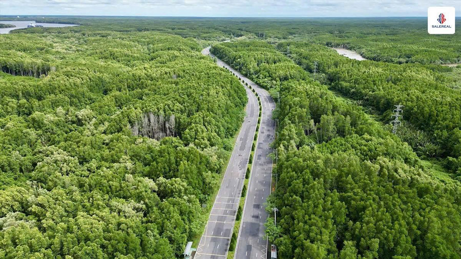 Đường Rừng Sác, tuyến đường độc đạo đi xuyên rừng ngập mặn Cần Giờ, một trong những hạ tầng quan trọng kết nối dự án với thành phố