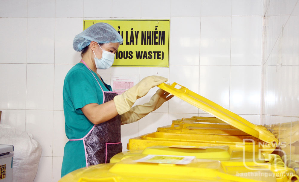 Chị Hồ Thúy Ngà kiểm tra việc phân loại rác thải trong Bệnh viện sau thu gom.