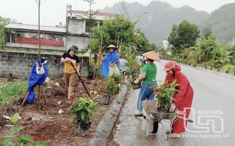 Nhân dân thị trấn Chợ Chu (Định Hóa) tích cực tham gia trồng hoa, cây cảnh trên những tuyến đường.