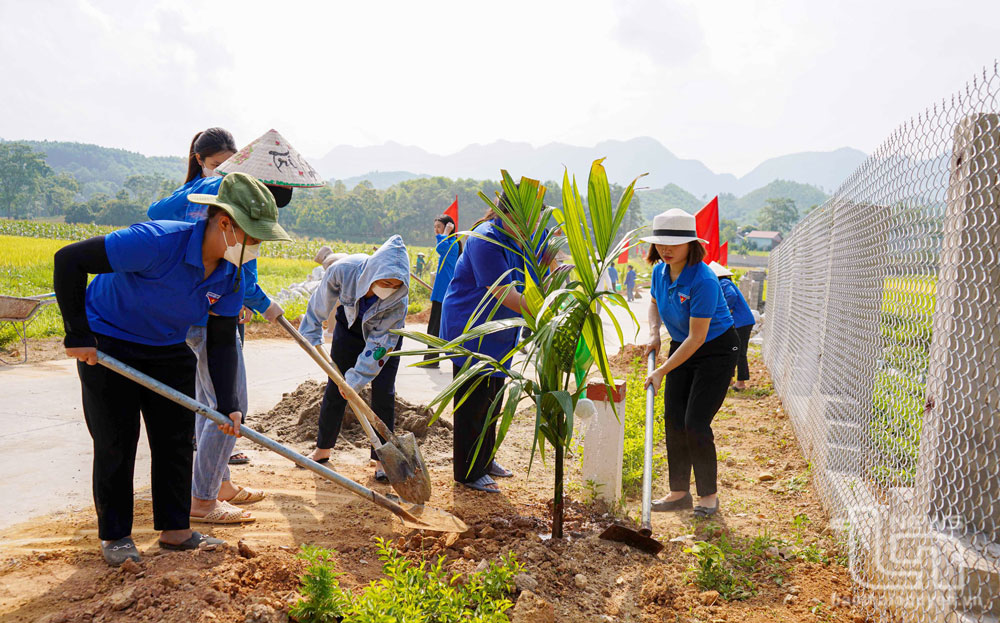 Người dân xã Kim Phượng tích cực tham gia trồng cây xanh dọc các tuyến đường liên xã, liên xóm.