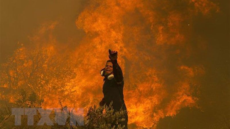 Nắng nóng gây cháy rừng dữ dội tại Athens, Hy Lạp ngày 22/8/2023. (Ảnh: THX/TTXVN)