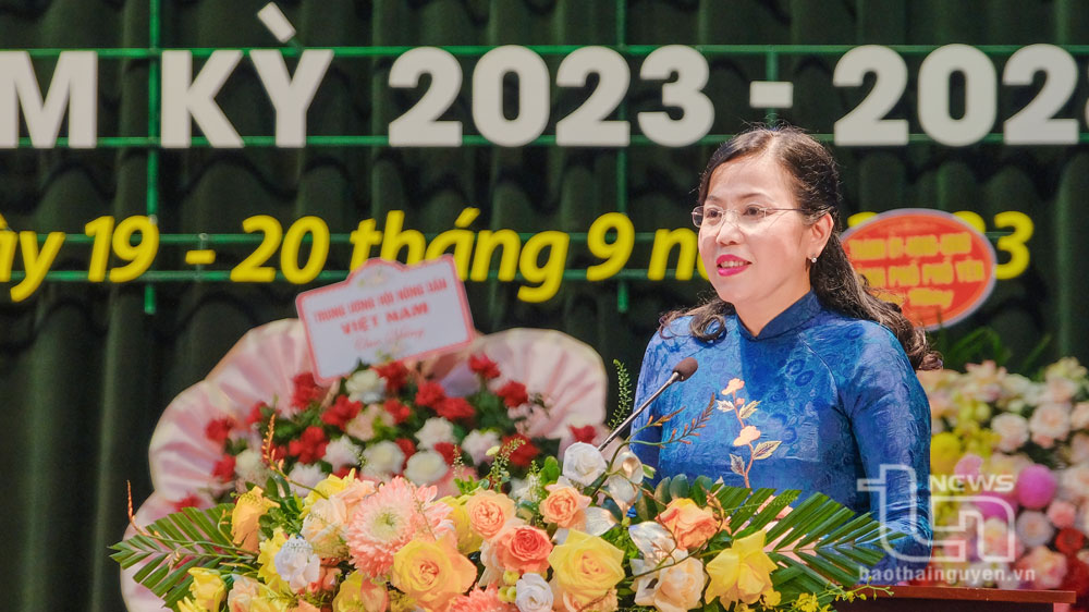 Đồng chí Bí thư Tỉnh ủy Nguyễn Thanh Hải phát biểu tại Đại hội.