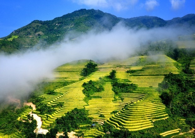 Sa Pa, 315 km from Hanoi, is endowed with wonderful resources in terms of scenery and climate. (Photo: VNA)