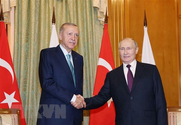 Tổng thống Nga Vladimir Putin và Tổng thống Thổ Nhĩ Kỳ Recep Tayyip Erdogan tại cuộc gặp ở Sochi, Nga, ngày 4/9/2023.