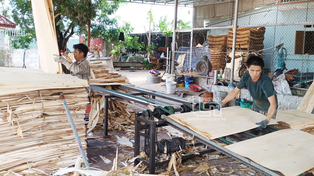 Anh Nguyễn Mạnh Cường, xóm Mỹ Hòa, xã Cây Thị là điển hình về làm kinh tế và tạo việc làm ổn định cho gần 10 lao động ở địa phương.