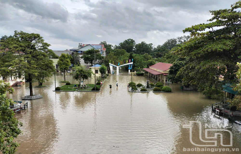 Trường Tiểu học Thống Nhất (TP. Thái Nguyên) bị nhập úng, ngày 8-9.