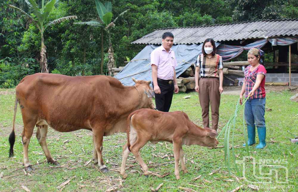 Cán bộ Phòng giao dịch NHCSXH huyện Phú Lương kiểm tra việc sử dụng vốn vay của gia đình chị Hoàng Thị Đều, xóm Khuân Rây, xã Phủ Lý.