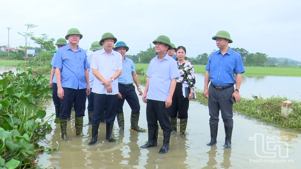 Các đồng chí lãnh đạo tỉnh, huyện Phú Bình, kiểm tra thực tế tại xã Úc Kỳ.