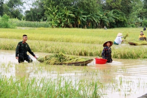 Thái Nguyên: Thiệt hại do bão lũ ước tính trên 608 tỷ đồng