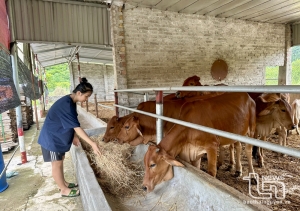 Người dân Võ Nhai “khát” vốn vay giải quyết việc làm