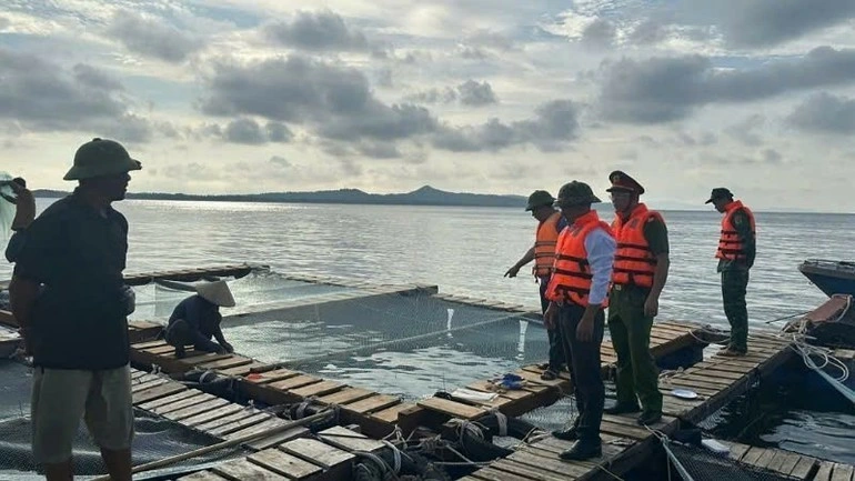 Lực lượng Công an và Bộ đội Biên phòng đặc khu Cô Tô (Quảng Ninh) hướng dẫn người dân gia cố lồng bè nuôi trồng trước khi bão số 9 đổ bộ. (Ảnh: QUANG THỌ)