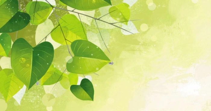 Những xúc cảm chan chứa tình người