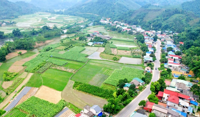 Chính sách đi vào cuộc sống, vùng cao chuyển mình