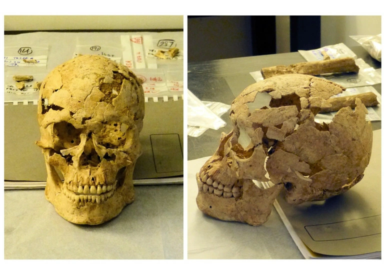 Bộ xương tìm thấy thuộc về một người đàn ông trưởng thành, cao khoảng 1m74, mất khi 35 tuổi.