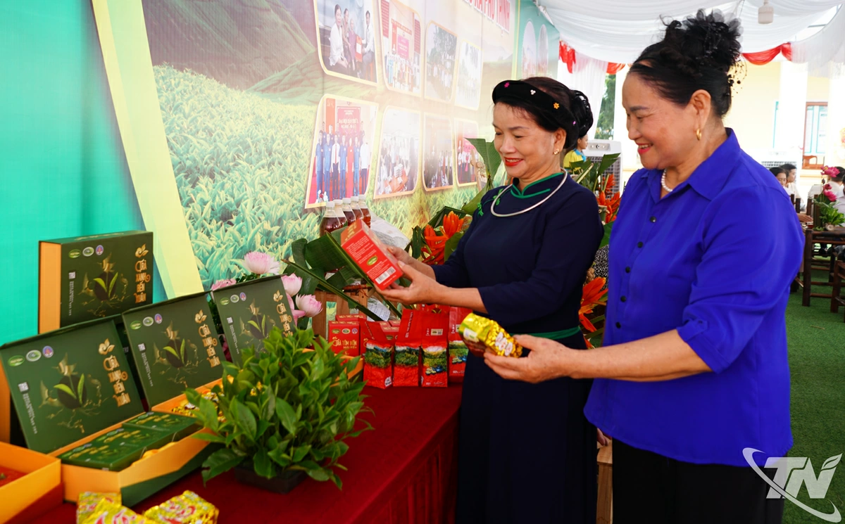 Trưng bày, giới thiệu sản phẩm chè Hải Yến đến người tiêu dùng.