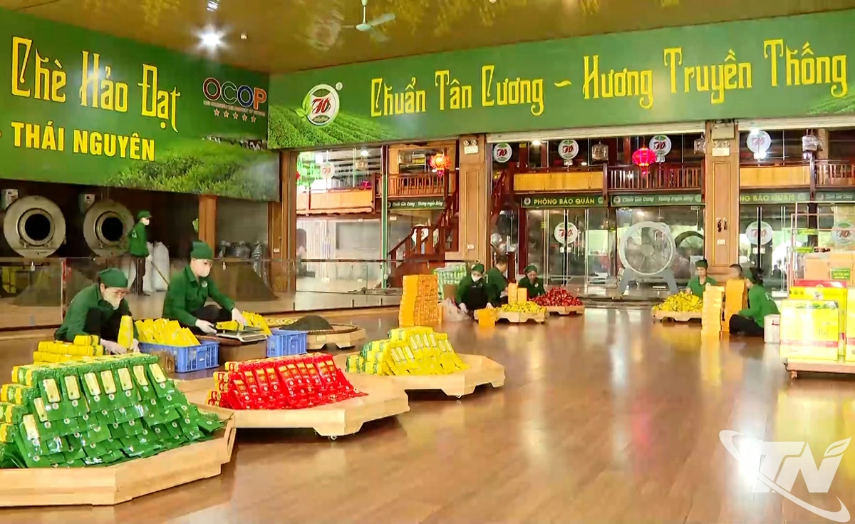 Với phương châm gắn bó cùng nông dân, HTX Chè Hảo Đạt không ngừng cải tiến quy trình sản xuất, bảo đảm chất lượng sản phẩm, đưa chè Thái Nguyên vươn xa trên nhiều thị trường.