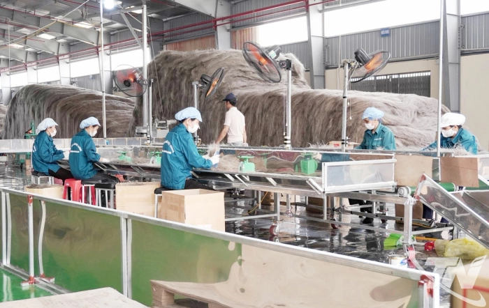 Nâng tầm sản phẩm đặc trưng