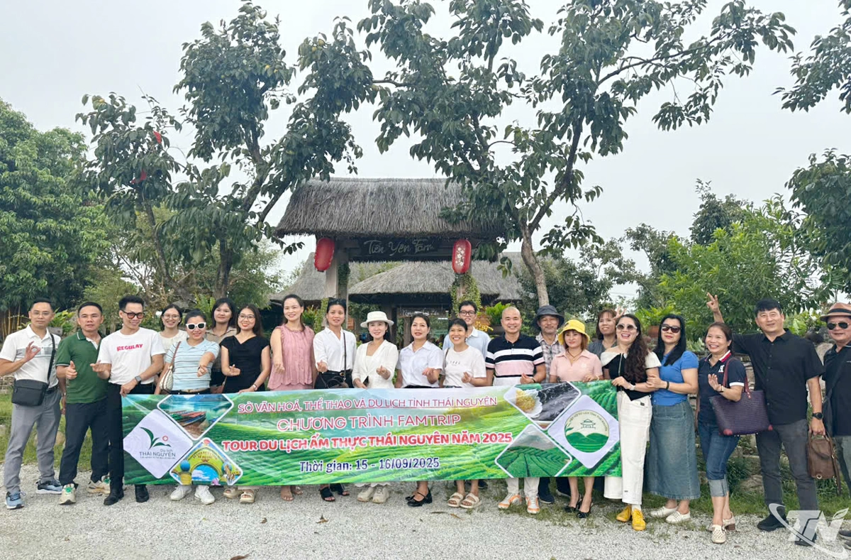 Hợp tác xã Trà và Du lịch cộng đồng Tiến Yên.