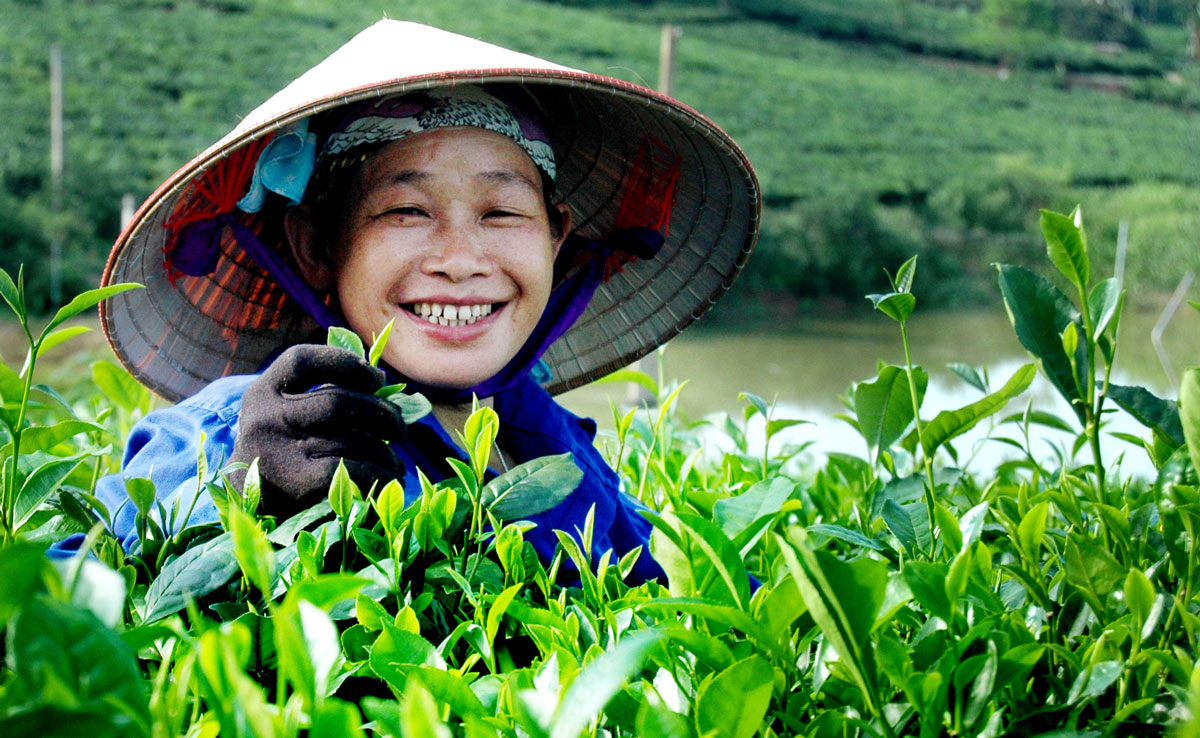 Niềm vui trên nương. Ảnh: Đào Tuấn