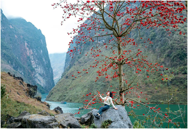 Sông Nho Quế – tuyệt cảnh không thể bỏ lỡ trong lịch trình Hà Giang 3 ngày 2 đêm tự túc, khi đặt chân đến Cao nguyên đá Đồng Văn.