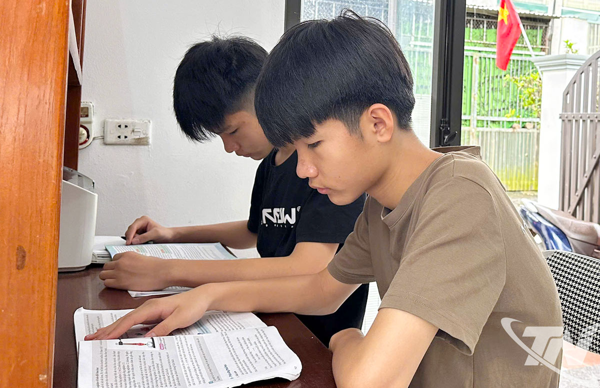 Cùng với say mê võ thuật, cặp song sinh vẫn duy trì thành tích học tập tốt.