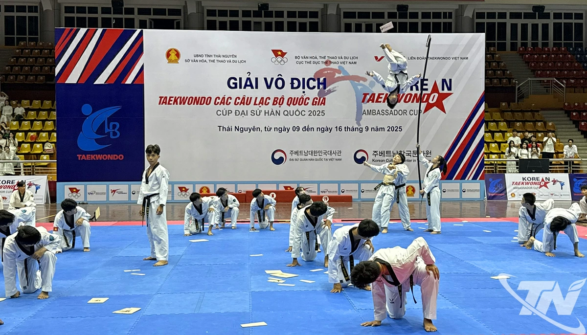 Các VĐV đồng diễn võ thuật chào mừng tại Lễ khai mạc. 