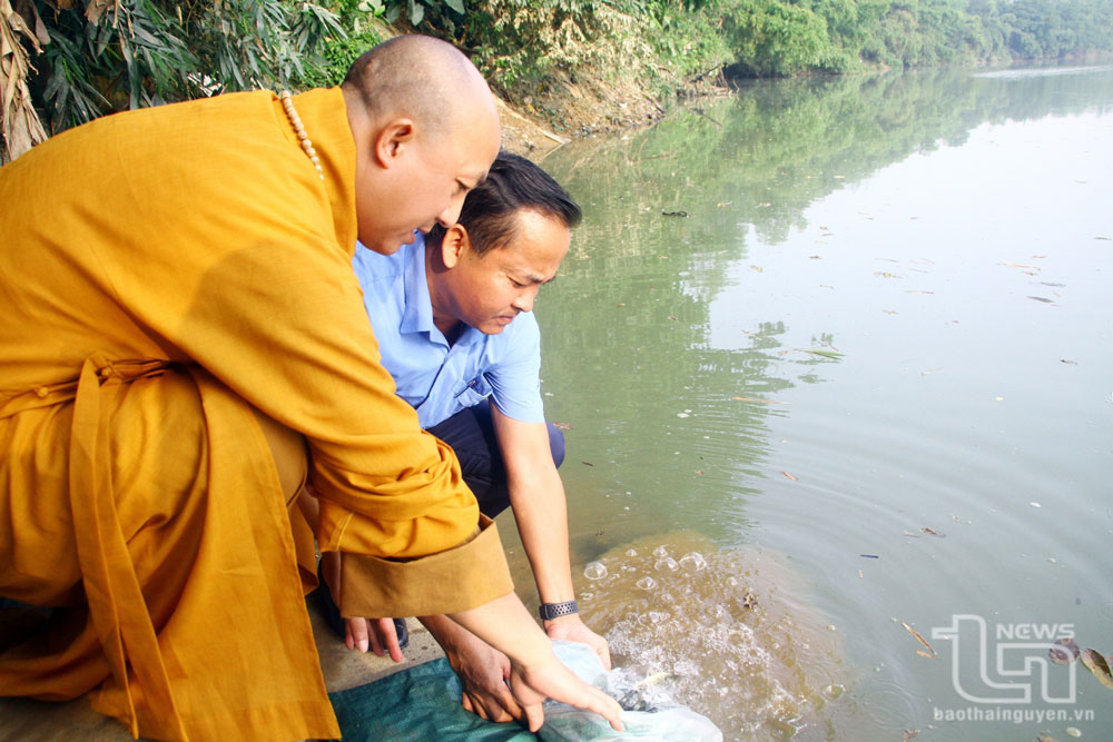 Lãnh đạo Sở Nông nghiệp và Phát triển nông thôn và Giáo hội Phật giáo Việt Nam tỉnh Thái Nguyên thả cá xuống sông Cầu.