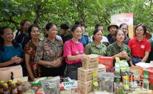 Xúc tiến thương mại, kích cầu tiêu dùng