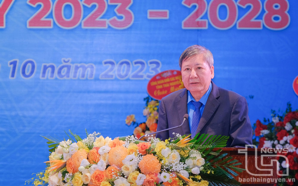 越南劳动联合会副会长陈清海先生在大会上发表讲话