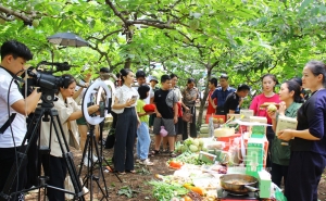 Tổ chức Festival nông sản, OCOP, làng nghề gắn kết du lịch - Thái Nguyên 2023