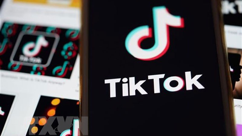 Biểu tượng mạng xã hội TikTok trên màn hình điện thoại. (Ảnh: THX/TTXVN)