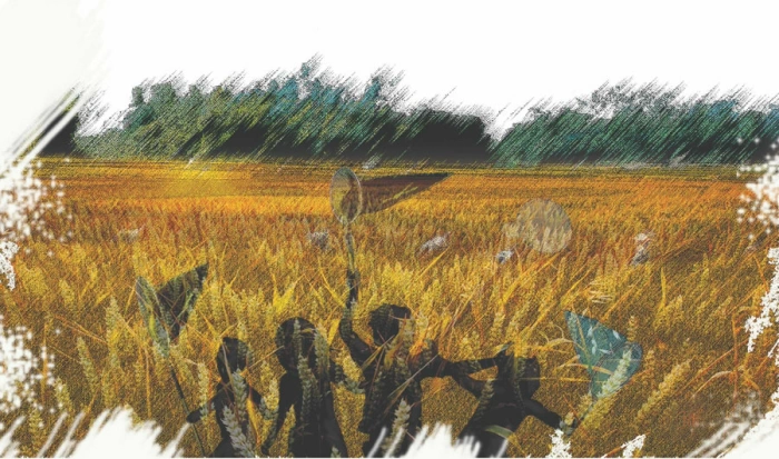 Đồng dao đập cánh mùa thu