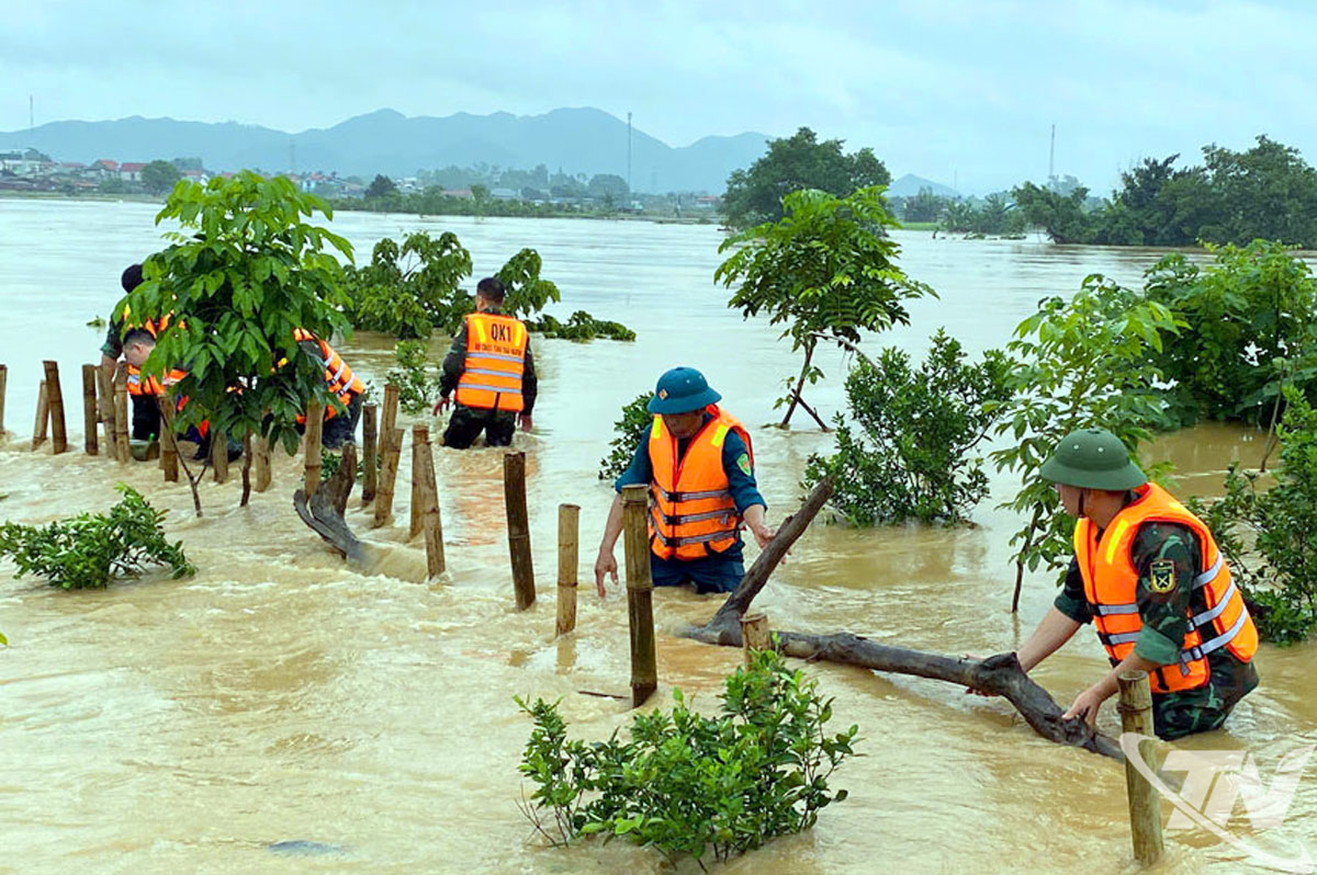 Lực lượng vũ trang địa phương kịp thời có mặt tại hiện trường và tích cực gia cố đoạn đê.