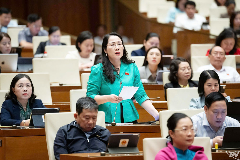 Tham gia thảo luận, đại biểu Nguyễn Thị Thủy (Đoàn ĐBQH tỉnh Thái Nguyên) quan tâm đến hoạt động tố tụng trong tình trạng khẩn cấp được quy định tại Điều 6 dự thảo luật.