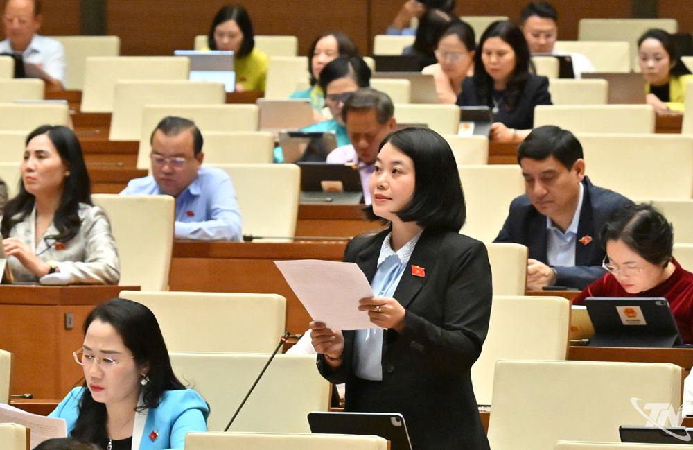 Đại biểu Nguyễn Thị Huế (Đoàn ĐBQH tỉnh Thái Nguyên) thảo luận về vấn đề thu gom chất thải đặc thù.