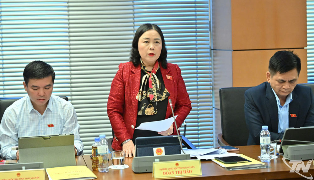 đại biểu Đoàn Thị Hảo để nghị cần quan tâm đến công tác sàng lọc, tư vấn trước sinh, khám sức khỏe tiền hôn nhân để đảm bảo và nâng cao chất lượng dân số.