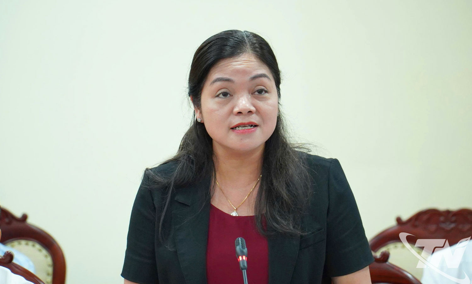 Đồng chí Nguyễn Thị Loan, Phó Chủ tịch UBND tỉnh phát biểu tại Phiên họp.